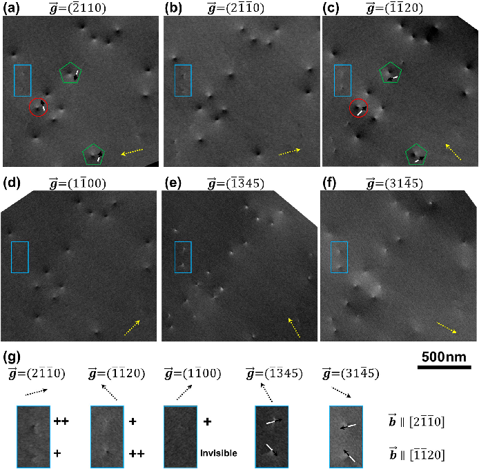 场发射葫芦岛扫描电镜